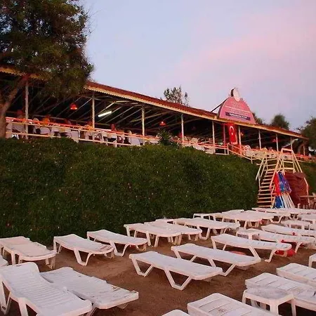 Clover Magic Nova 2*