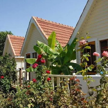 Clover Magic Nova ホテル