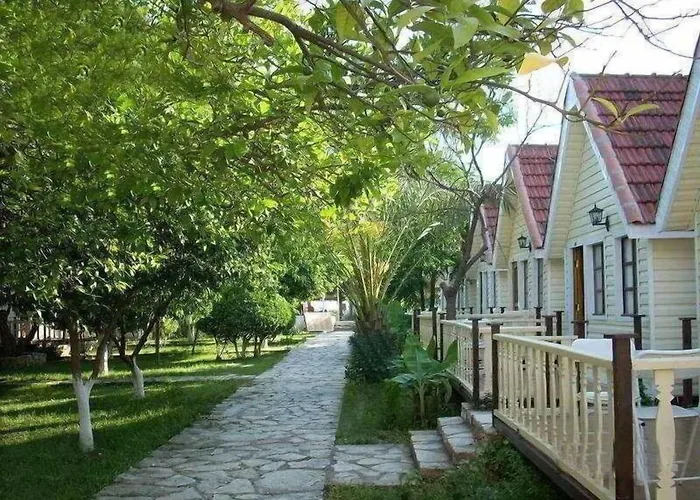 Clover Magic Nova Side