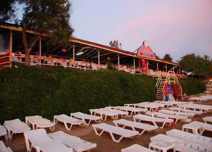 Clover Magic Nova 2*