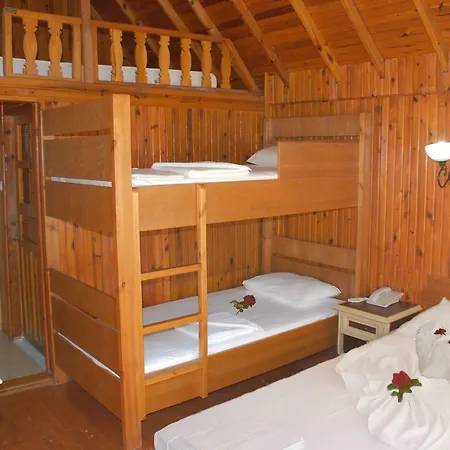 Clover Magic Nova 2*