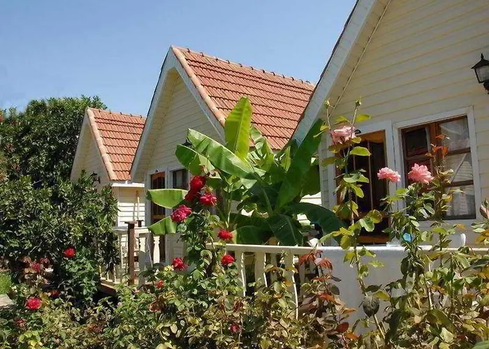 Clover Magic Nova فندق