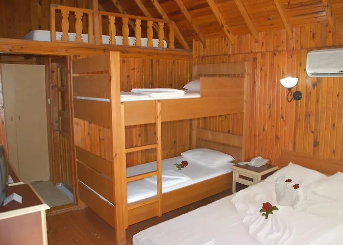 Clover Magic Nova 2*